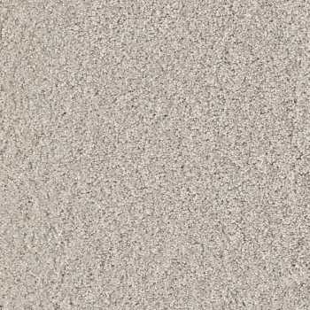 Draufsicht Girloon Cloud 821 Velours Teppichboden